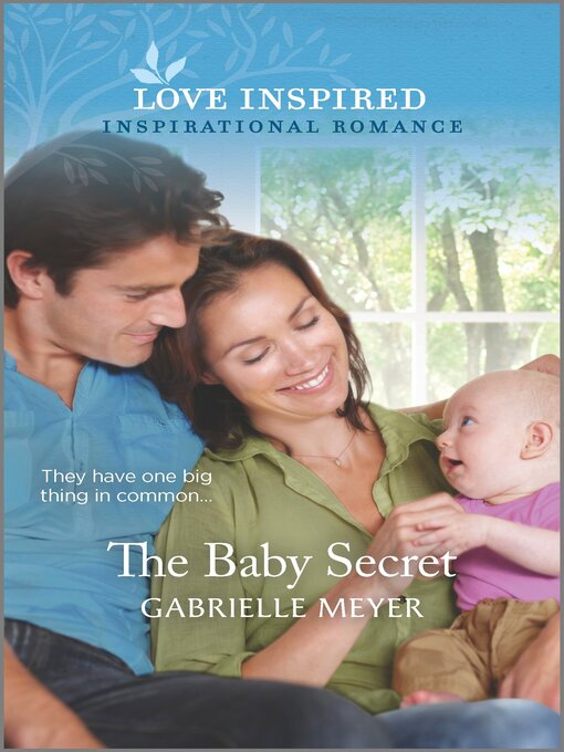 Cover image for The Baby Secret